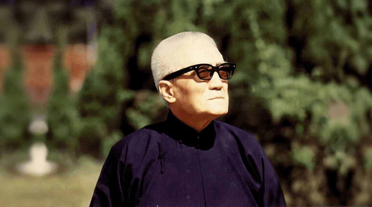 涵靜老人（李玉階先生）戶外半身肖像。老人身著深藍色中式長衫，戴深色方框墨鏡，銀白短髮，面容沉穩，目光朝左側上方凝視，神情從容而有威儀。背景為略微失焦的翠綠樹叢，自然光線充足，為早年彩色底片攝影。